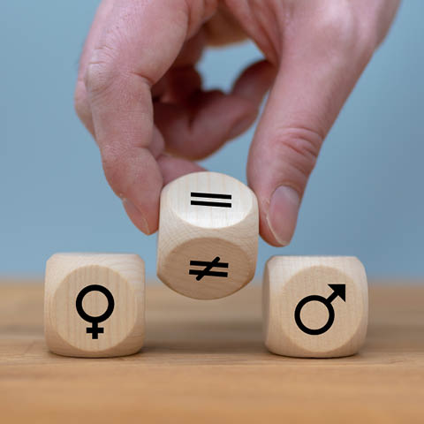 Symbolfoto: Zwischen zwei Würfel mit dem Symbol für Frauen bzw. für Männer stellt einen weiteren Würfel mit einem „Gleich“-Zeichen. 